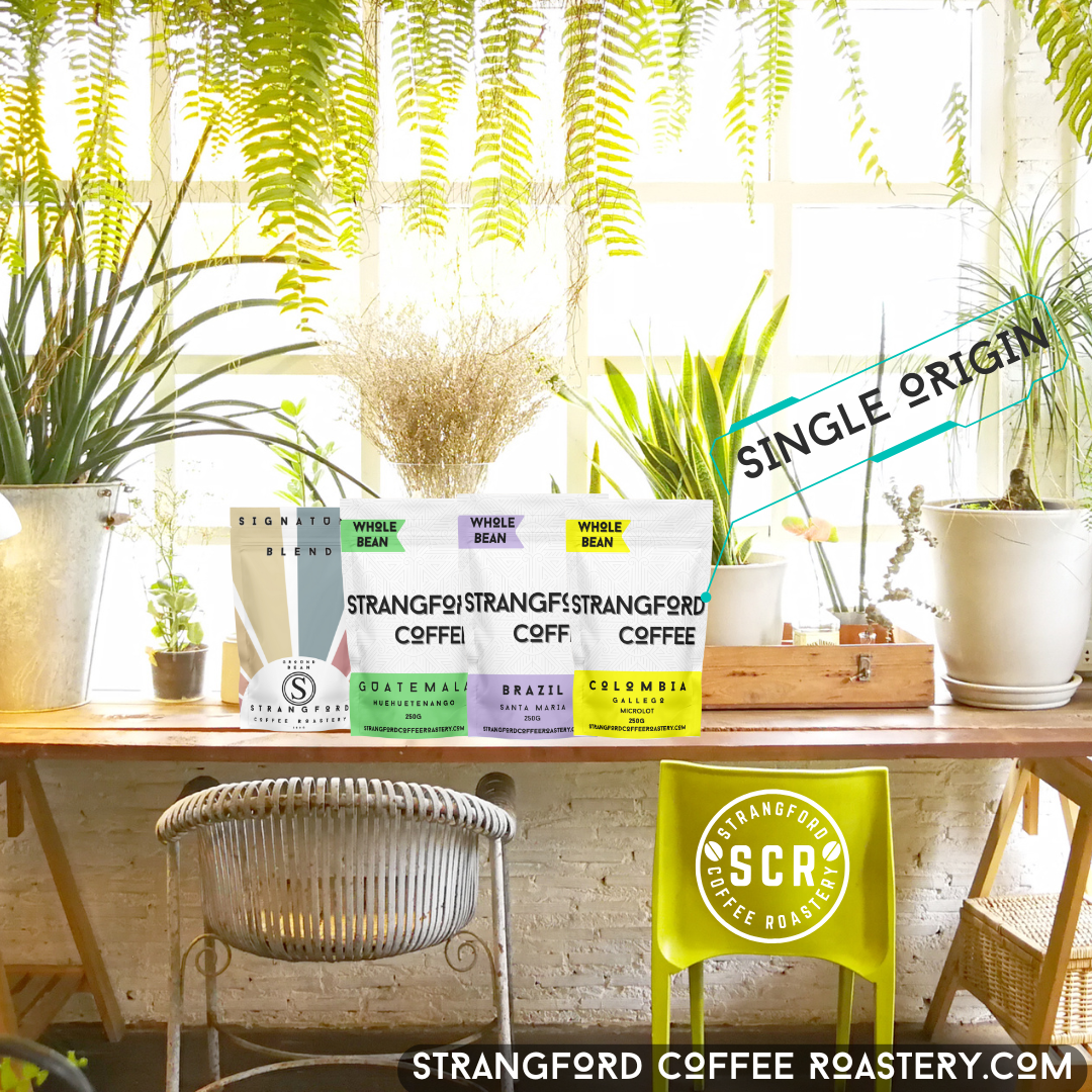 Strangfrd coffee subscription bag on rustic tabl with coastal garden backdrop